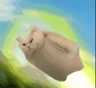 一些喵ฅ(=￣ω￣=)ฅ