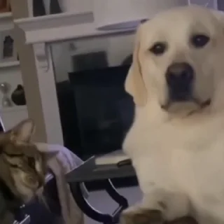 😱