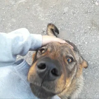 Ахуеть не встать :: @fStikBot