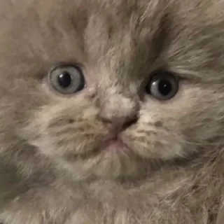 😳
