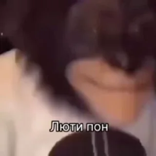 🫢