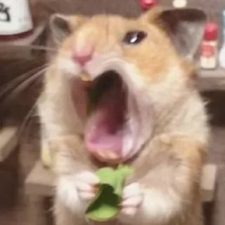 😫