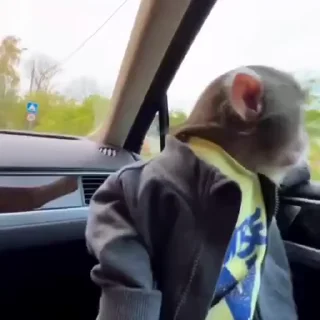 🏎️