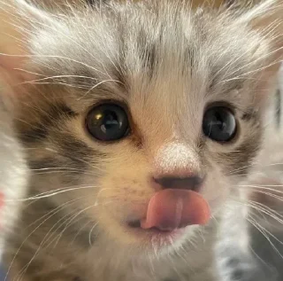 😋