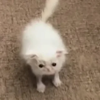 😶