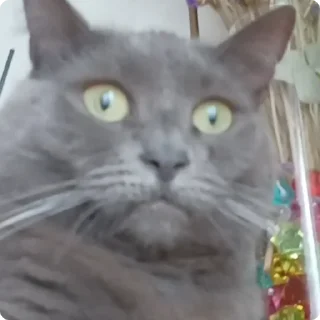 😳