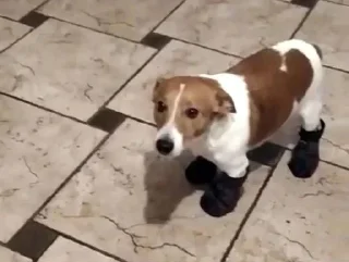 🌟