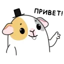 👋
