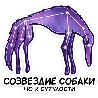 🐕