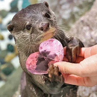 ❤️