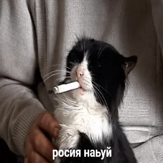 🤧