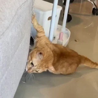 😵