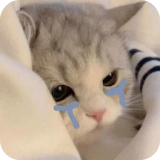 😭