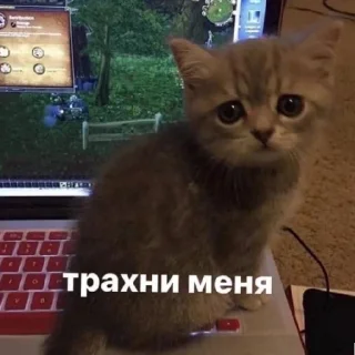 😄