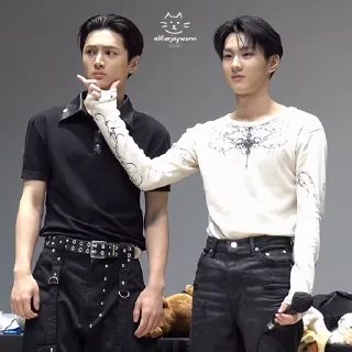 🐈‍⬛️
