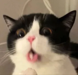 🤢