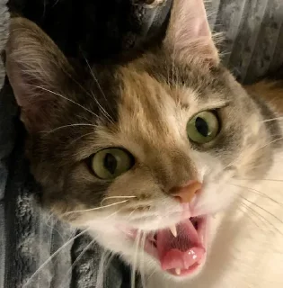😱