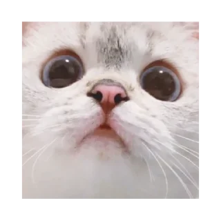 🙂