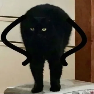 🤨