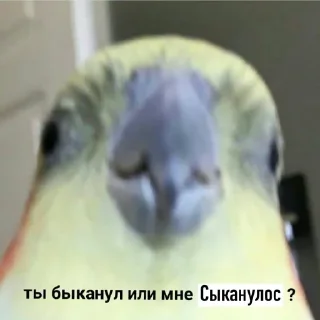 😕