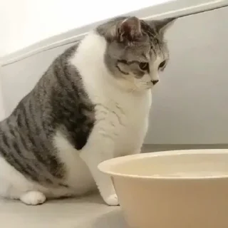 😶