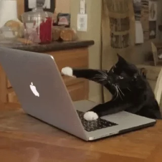 💻
