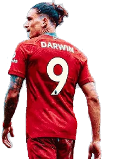 9️⃣