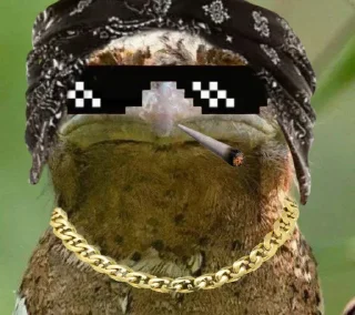 🪃