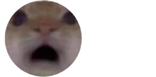 😦