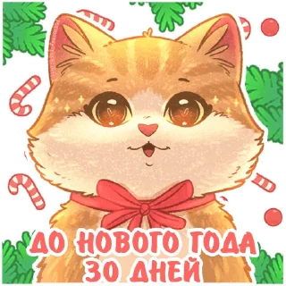 3⃣