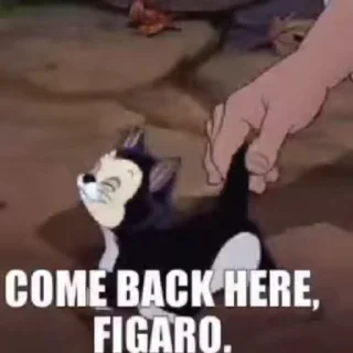 🤨
