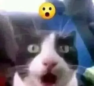 🌟