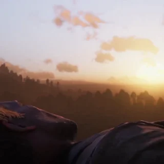 🏕