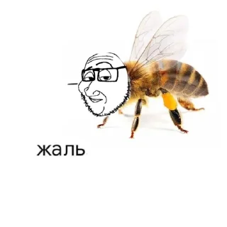 🐝