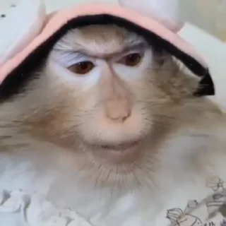 😔