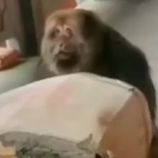 😠