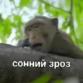 😴