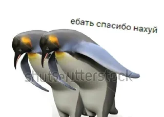 ➡️