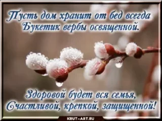 🌷