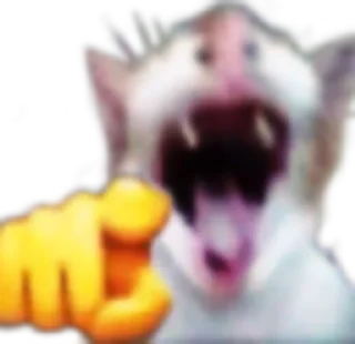 😂