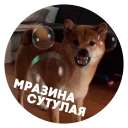😠