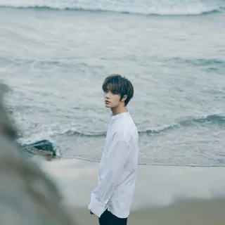 🐚