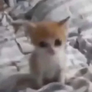 😶
