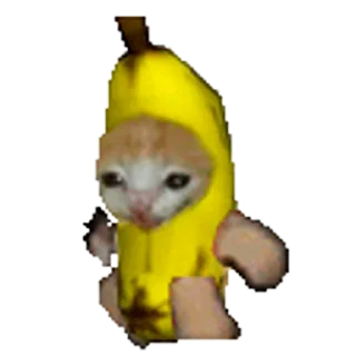 🐈