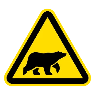 🐻