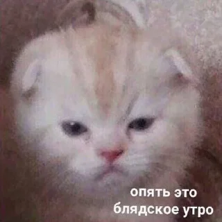 😣