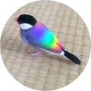 🌈