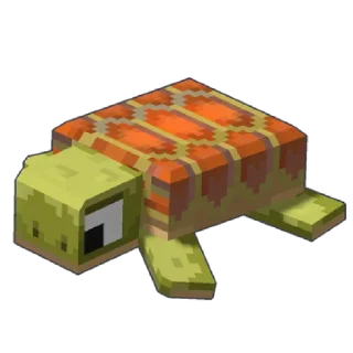 🐢
