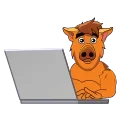 🧑‍💻