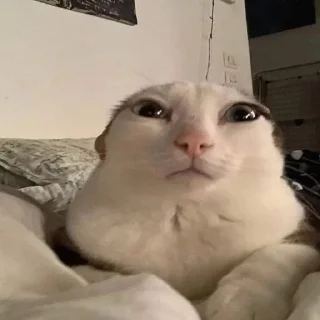 😐
